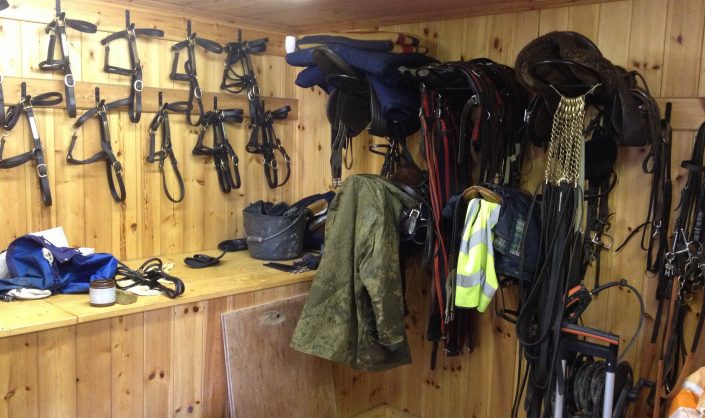 Tack Room Monitoring-Diligent Vision Systems